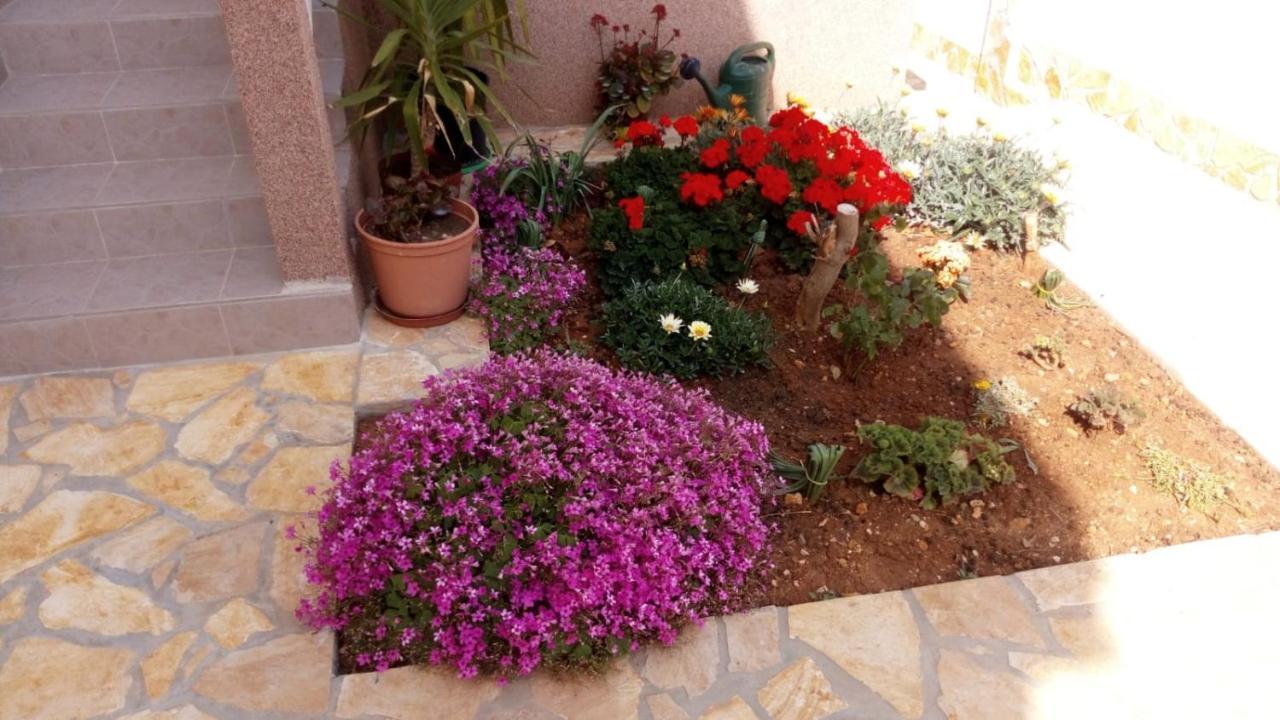 Apartmani Matovina فير المظهر الخارجي الصورة